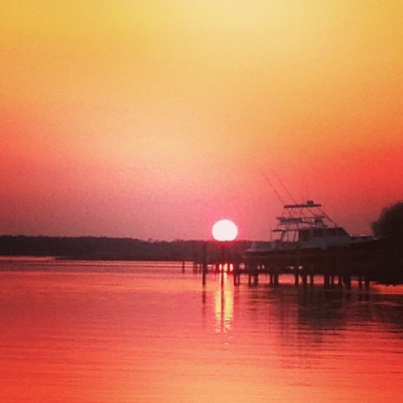 Meet your Posher, Stephanie - Picture 2 of 2